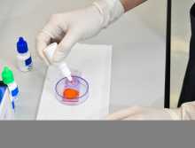佛山单身生育者必看：甲状腺功能检查不孕与代生代怀选医指南